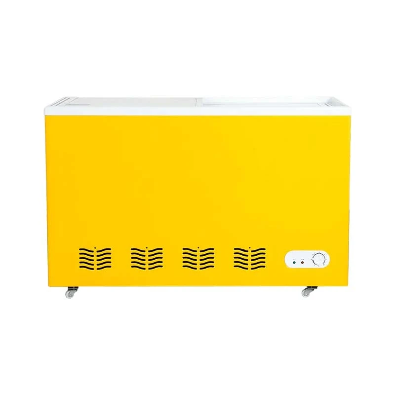 Flat Glass Ice Cream Freezer best